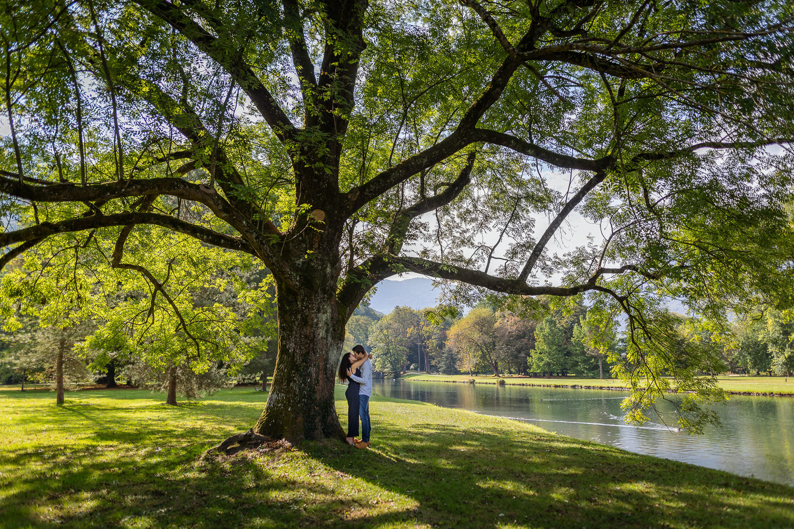 Couple sous un arbre dans le parc du château de Vizille, photo prise par Florian Fauvarque photographe de couple à Grenoble et en Isère