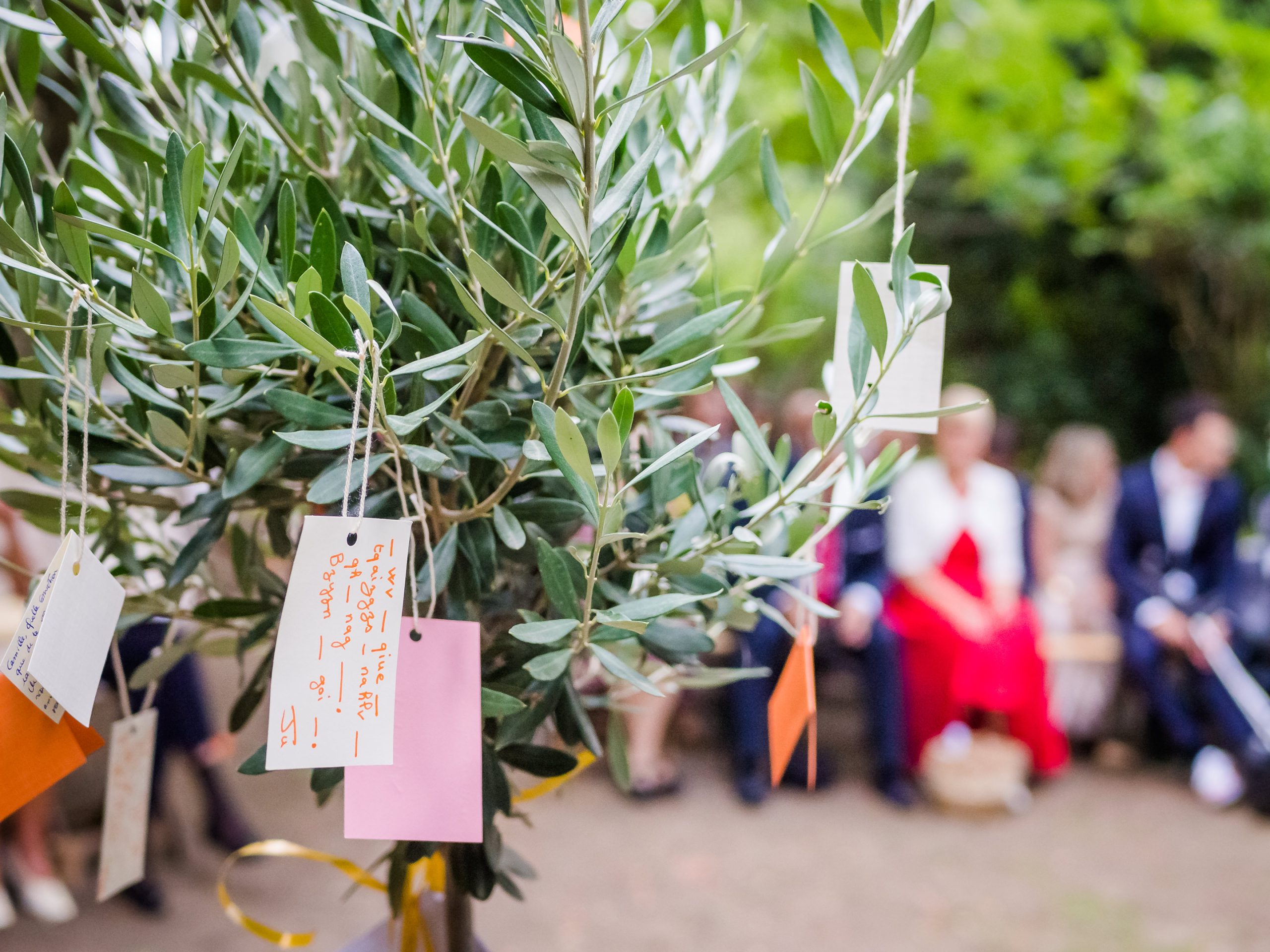 Rituel de l'arbre, photo prise par Florian Fauvarque photographe mariage à Grenoble en Isère