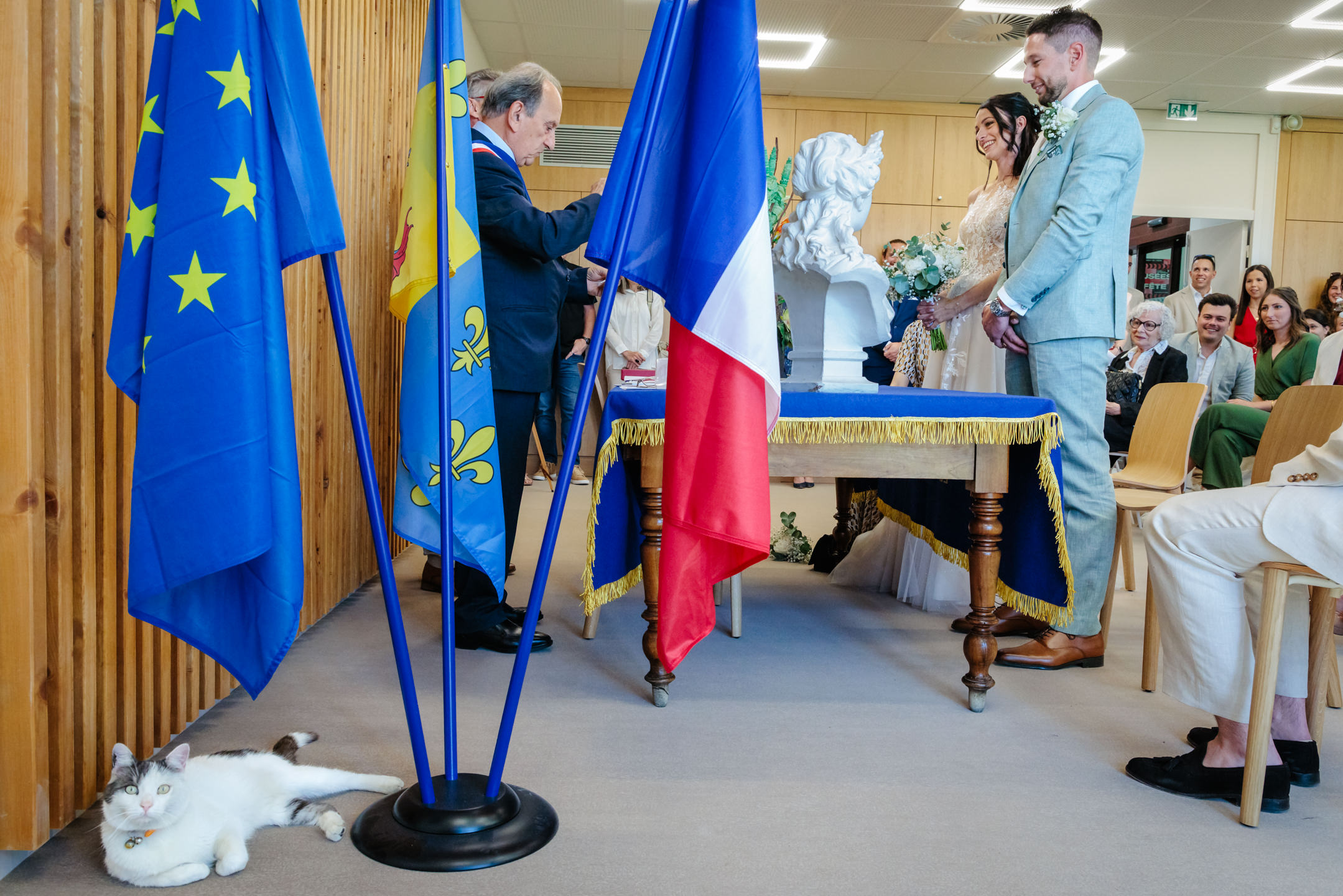 Cérémonie civile avec un chat dans la mairie, photo prise par Florian Fauvarque photographe de mariage à Grenoble et en Isère